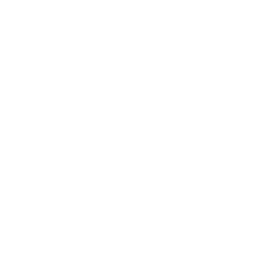 Fortinet Network Security